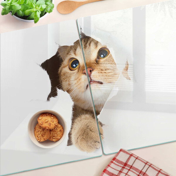 Glass kitchen board A cat looking through a hole in the wall