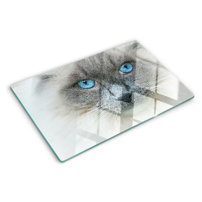 Glass cutting board A cat with blue eyes
