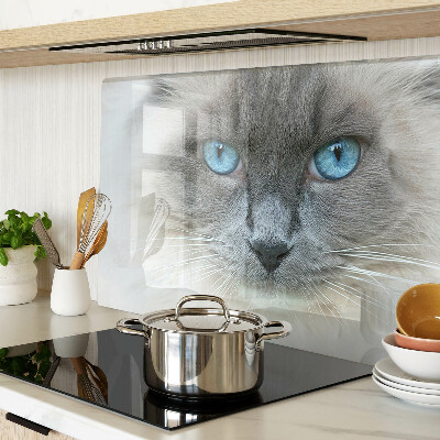Glass cutting board A cat with blue eyes