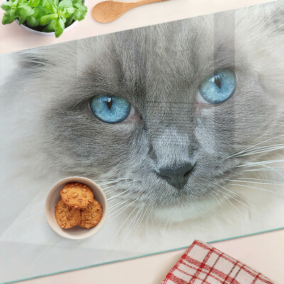 Glass cutting board A cat with blue eyes