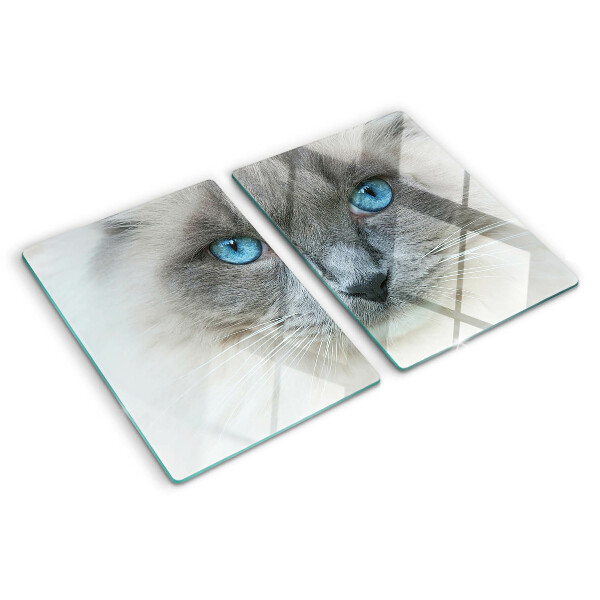 Glass cutting board A cat with blue eyes