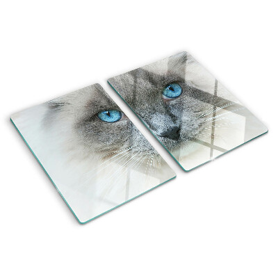 Glass cutting board A cat with blue eyes