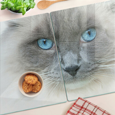Glass cutting board A cat with blue eyes