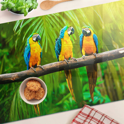 Glass kitchen board Parrots on a branch in the tropics