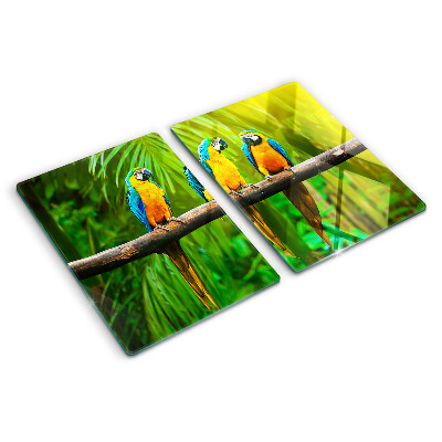 Glass kitchen board Parrots on a branch in the tropics