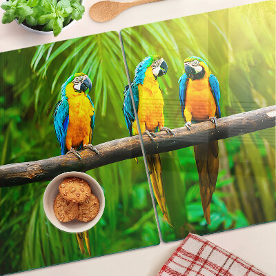 Glass kitchen board Parrots on a branch in the tropics