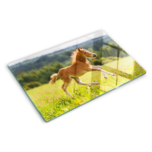 Glass cutting board Foal in the meadow