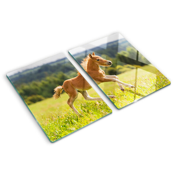 Glass cutting board Foal in the meadow