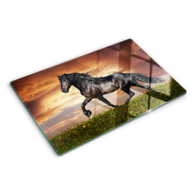 Glass kitchen board A horse against the backdrop of the setting sun