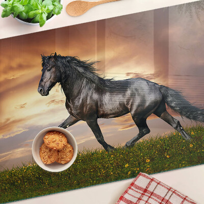 Glass kitchen board A horse against the backdrop of the setting sun