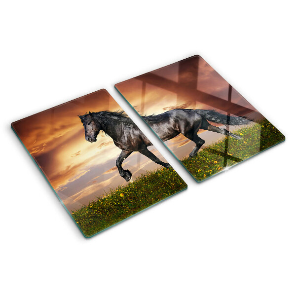 Glass kitchen board A horse against the backdrop of the setting sun