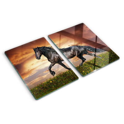 Glass kitchen board A horse against the backdrop of the setting sun