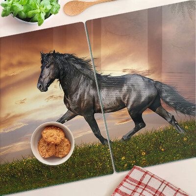 Glass kitchen board A horse against the backdrop of the setting sun