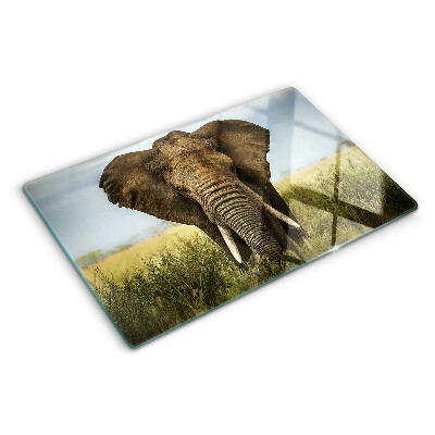 Glass kitchen board An elephant against the backdrop of the African savannah