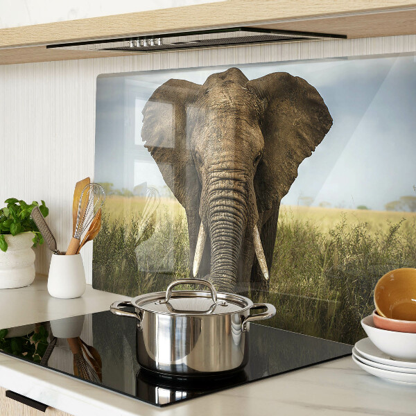 Glass kitchen board An elephant against the backdrop of the African savannah