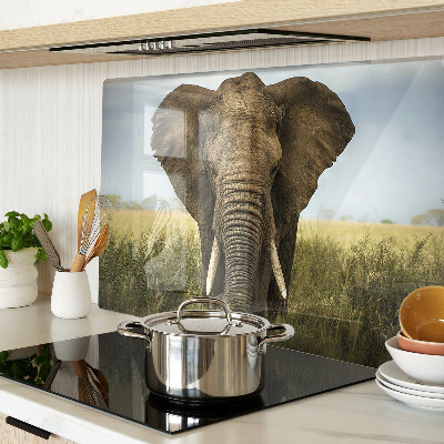 Glass kitchen board An elephant against the backdrop of the African savannah