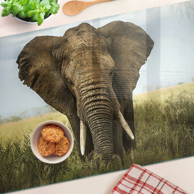 Glass kitchen board An elephant against the backdrop of the African savannah