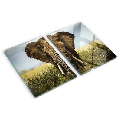 Glass kitchen board An elephant against the backdrop of the African savannah