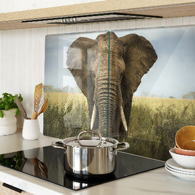 Glass kitchen board An elephant against the backdrop of the African savannah
