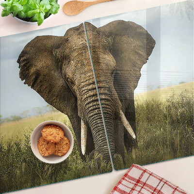Glass kitchen board An elephant against the backdrop of the African savannah