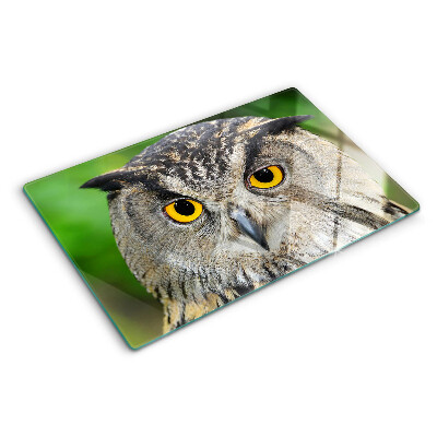 Glass chopping board An owl with expressive eyes