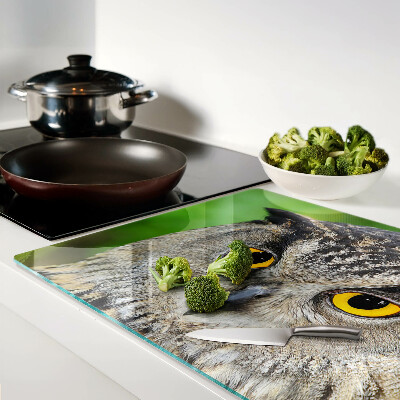 Glass chopping board An owl with expressive eyes