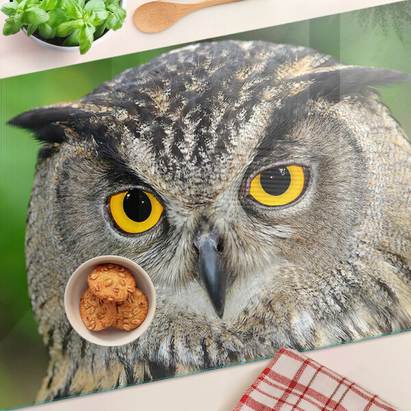 Glass chopping board An owl with expressive eyes