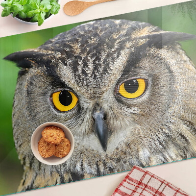 Glass chopping board An owl with expressive eyes