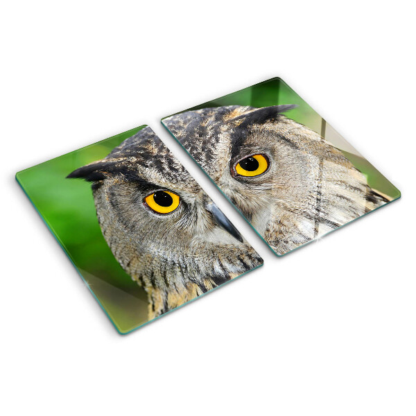 Glass chopping board An owl with expressive eyes