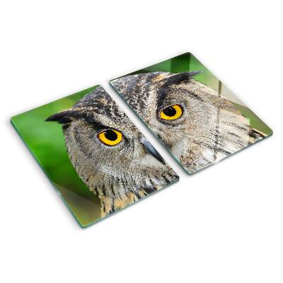 Glass chopping board An owl with expressive eyes