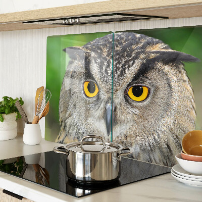 Glass chopping board An owl with expressive eyes