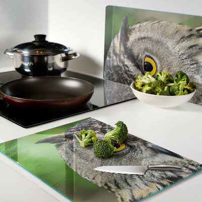 Glass chopping board An owl with expressive eyes