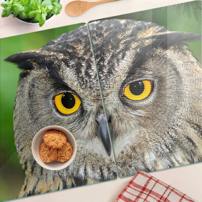 Glass chopping board An owl with expressive eyes
