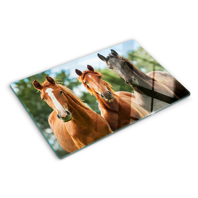 Chopping board glass Horses in nature