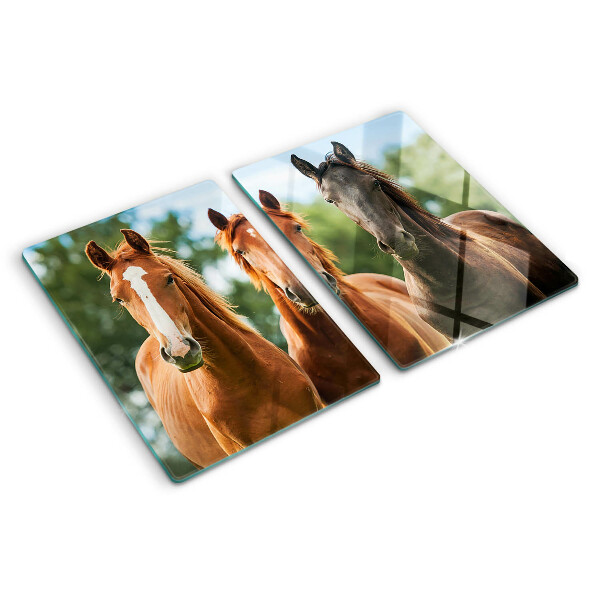 Chopping board glass Horses in nature