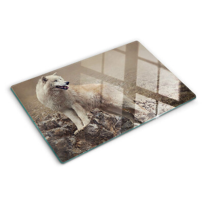 Glass kitchen board Wolf on a rocky mountain