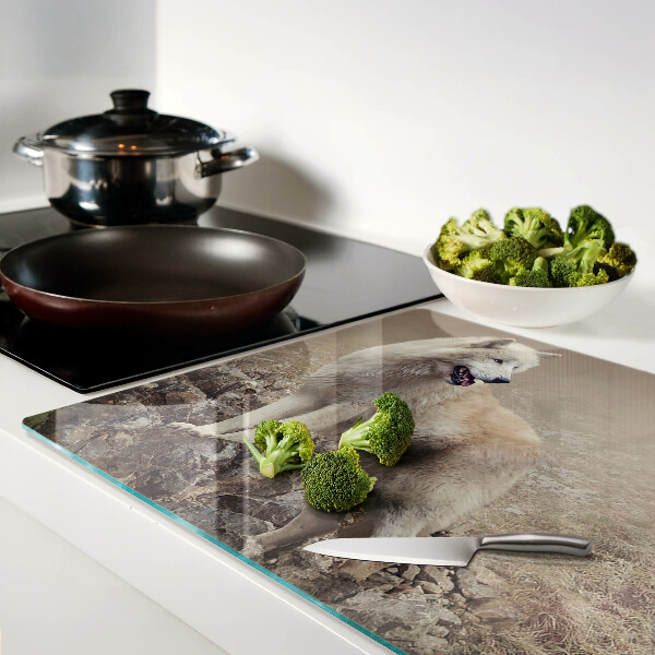 Glass kitchen board Wolf on a rocky mountain