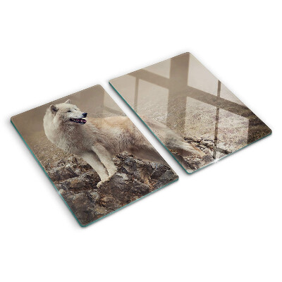 Glass kitchen board Wolf on a rocky mountain