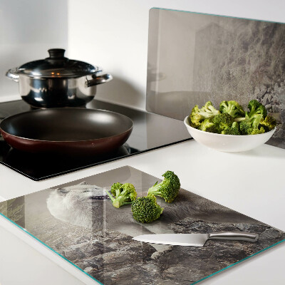 Glass kitchen board Wolf on a rocky mountain