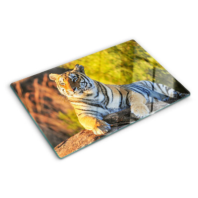 Chopping board glass Tiger against the background of nature