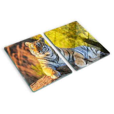 Chopping board glass Tiger against the background of nature