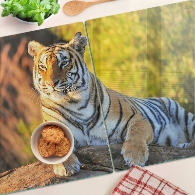 Chopping board glass Tiger against the background of nature