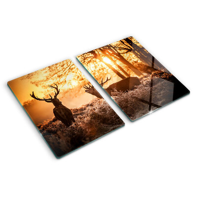 Cutting board Deer in the forest at sunset