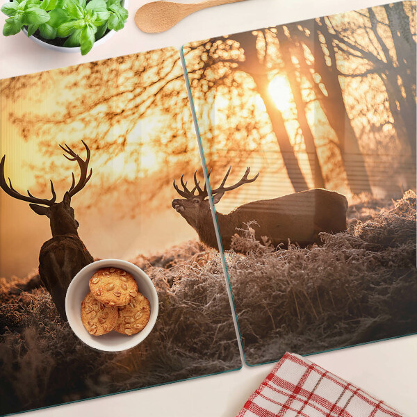 Cutting board Deer in the forest at sunset