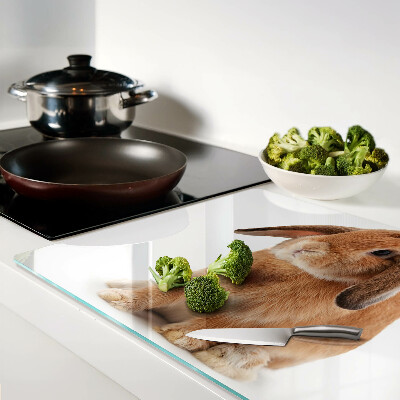 Glass cutting board Rabbit on a white background