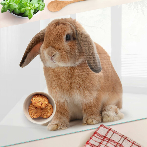 Glass cutting board Rabbit on a white background
