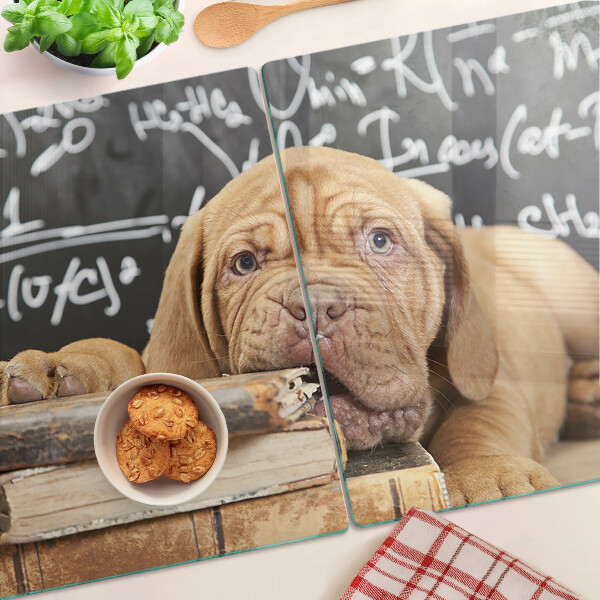 Glass cutting board Dog with books and a blackboard