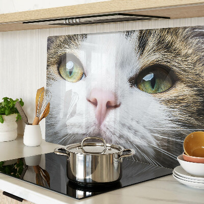 Glass cutting board A cat with green eyes