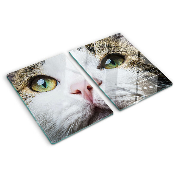 Glass cutting board A cat with green eyes