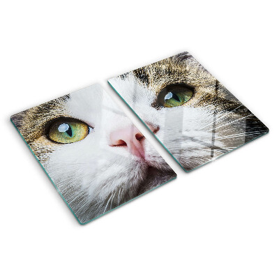 Glass cutting board A cat with green eyes